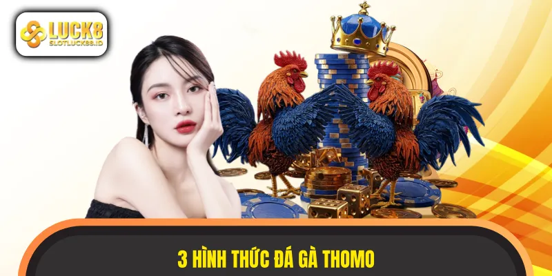 Các trận đá gà Thomo đều mang đến trải nghiệm thú vị cho người xem