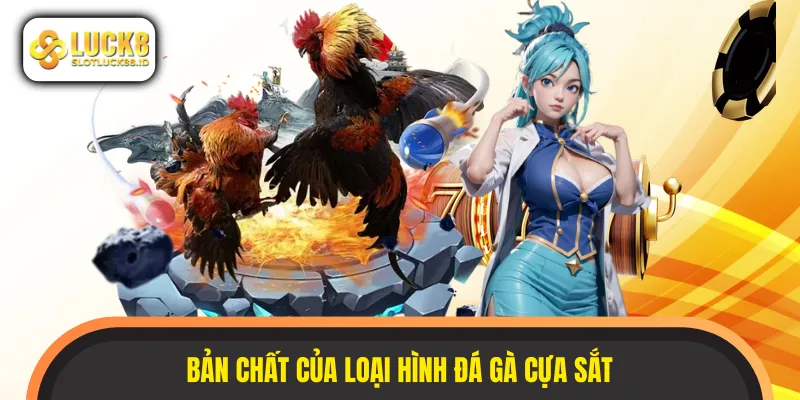 Tính đối đầu nảy lửa trong các trận đá gà cựa sắt