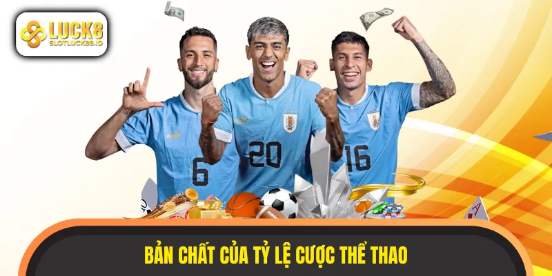 Tỷ lệ cược thể thao hỗ trợ người chơi tính toán tiền thưởng