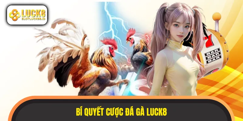 Một số bí quyết cược hay đem lại lợi nhuận khủng