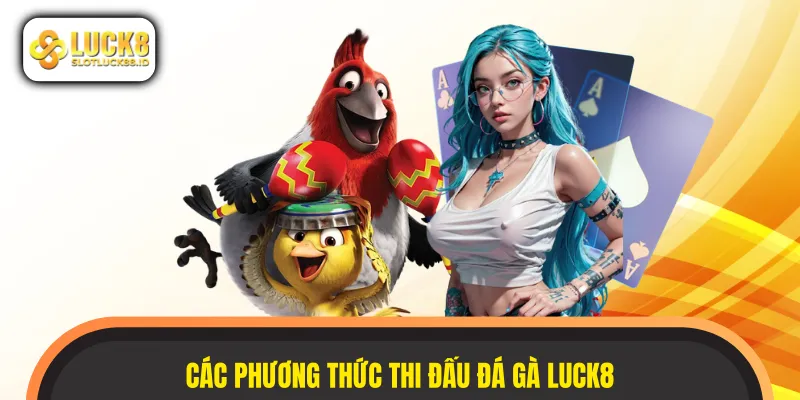 Các phương thức thi đấu chọi kê phổ biến của hệ thống
