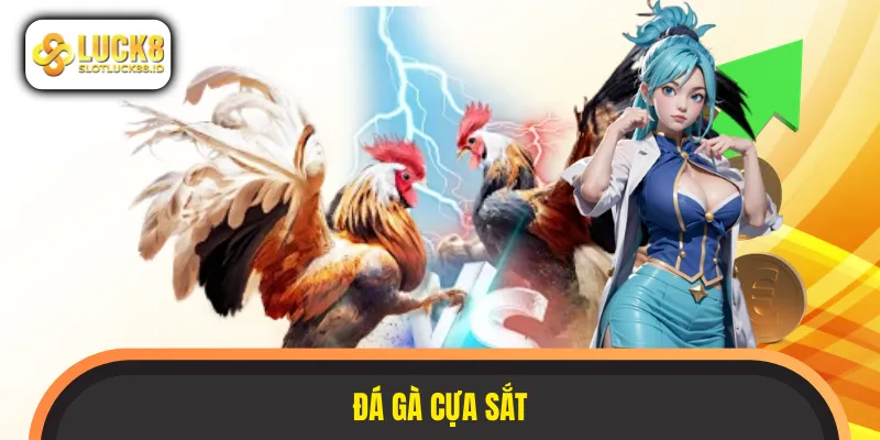 đá gà cựa sắt