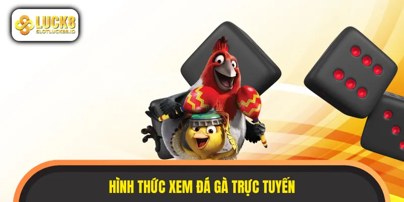 Xu hướng xem đá gà trực tuyến ngày càng được quan tâm