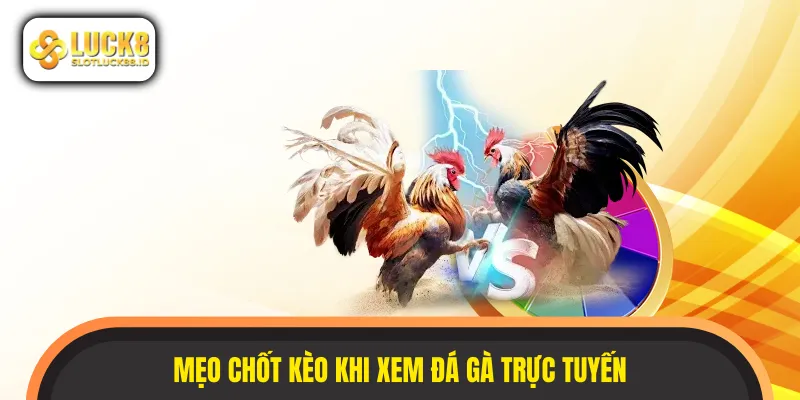 Xem đá gà trực tuyến và rinh thưởng khủng với mẹo hay từ cao thủ