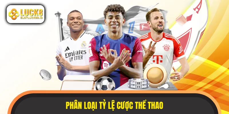 Chi tiết phân loại các tỷ lệ dựa theo từng kèo cược