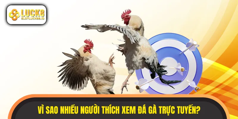Bet thủ dễ dàng theo dõi hàng trăm trận đá gay cấn ngay tại nhà