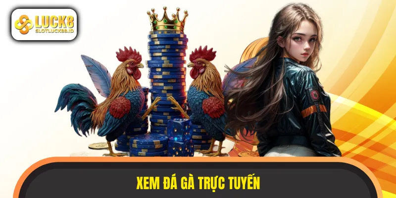 xem đá gà trực tiếp